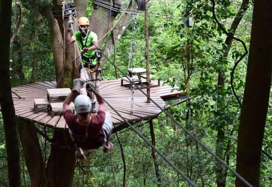Canopy Tour